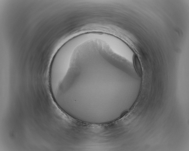 X0000110991536200907101420