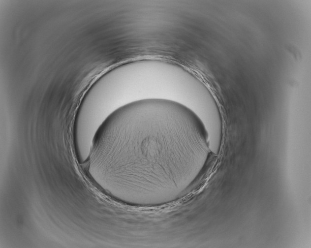 X0000110990001200907171801