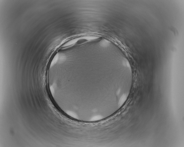 X0000110990002200907171801