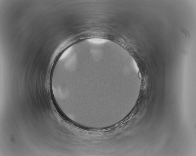 X0000110990004200907171801