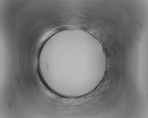 X0000110990005200907171801