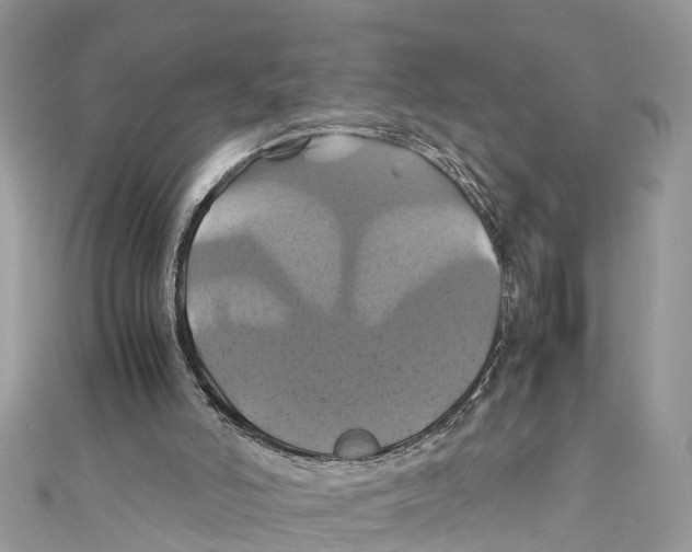 X0000110990006200907171801