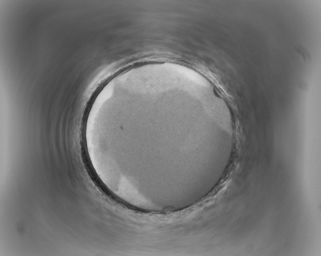 X0000110990007200907171801