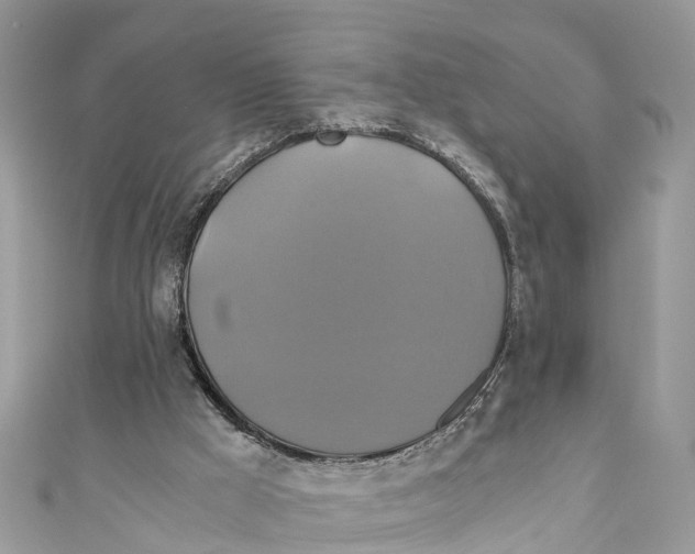 X0000110990009200907171801