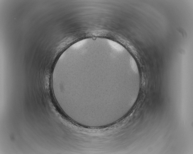 X0000110990010200907171801