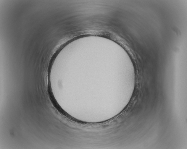 X0000110990011200907171801