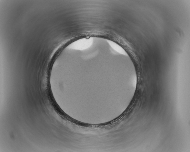 X0000110990012200907171801