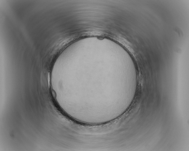 X0000110990013200907171801