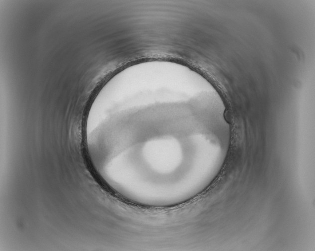 X0000110990015200907171801