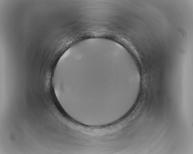 X0000110990018200907171801