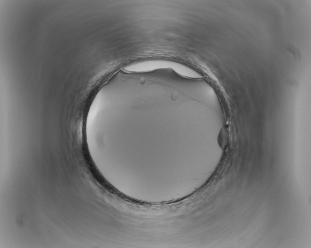X0000110990019200907171801
