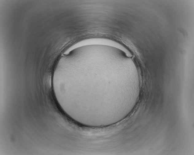 X0000110990021200907171801