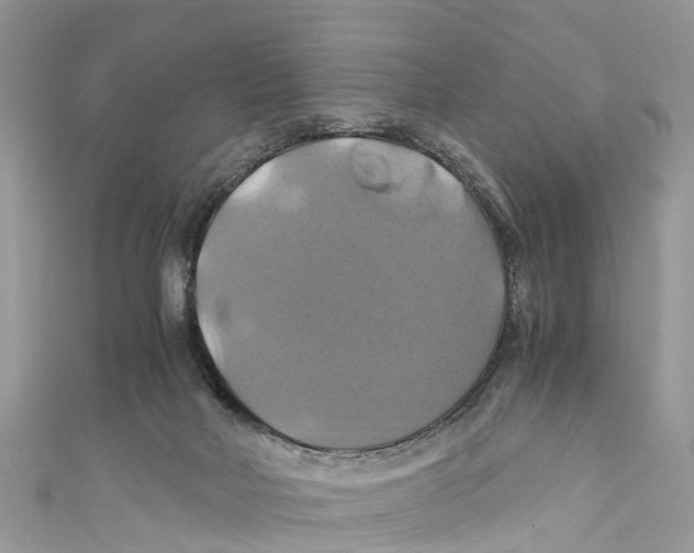 X0000110990026200907171801