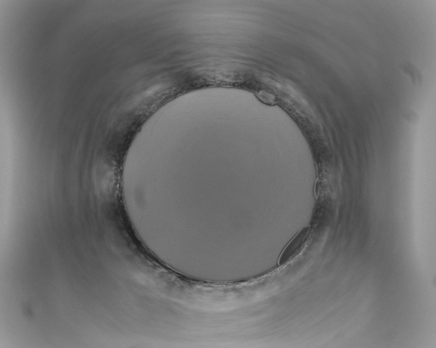X0000110990029200907171801