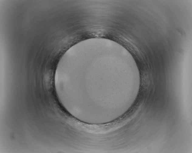 X0000110990030200907171801