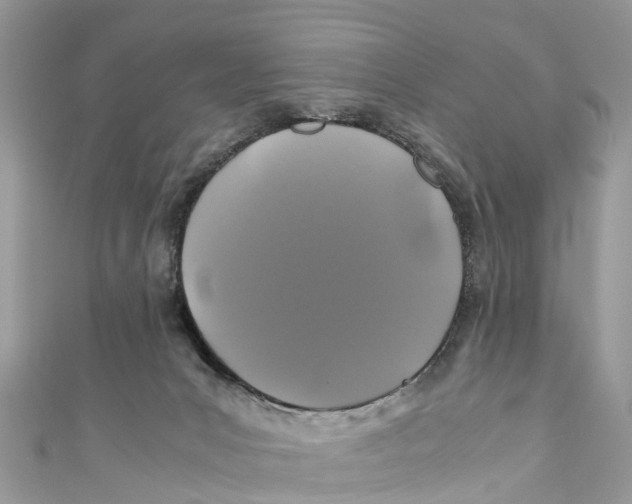X0000110990031200907171801