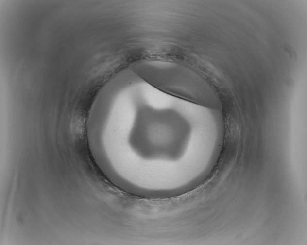 X0000110990033200907171801
