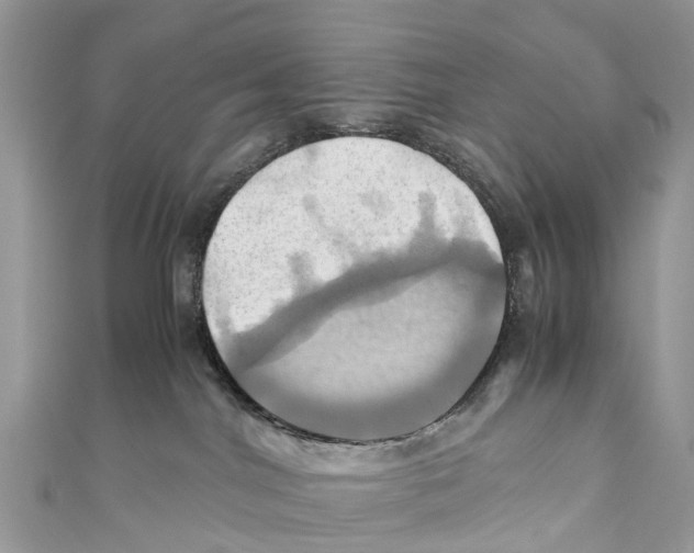 X0000110990044200907171801