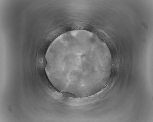 X0000110990045200907171801