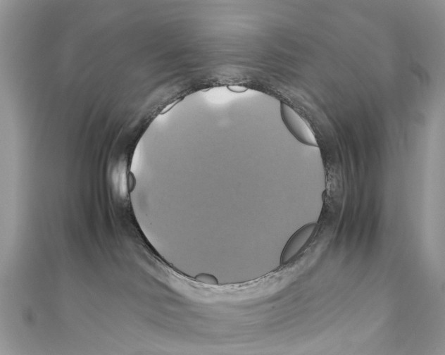 X0000110990046200907171801