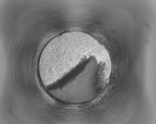X0000110990049200907171800