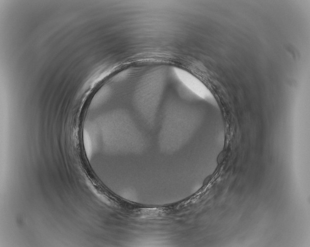 X0000110990050200907171800