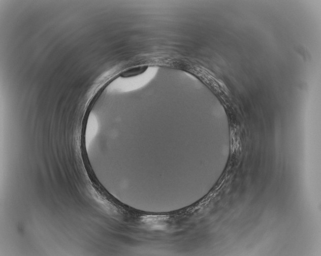 X0000110990051200907171800