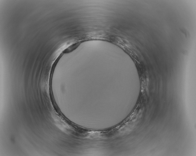 X0000110990052200907171800