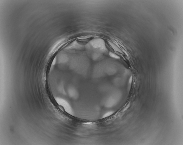 X0000110990053200907171800