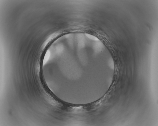 X0000110990054200907171800