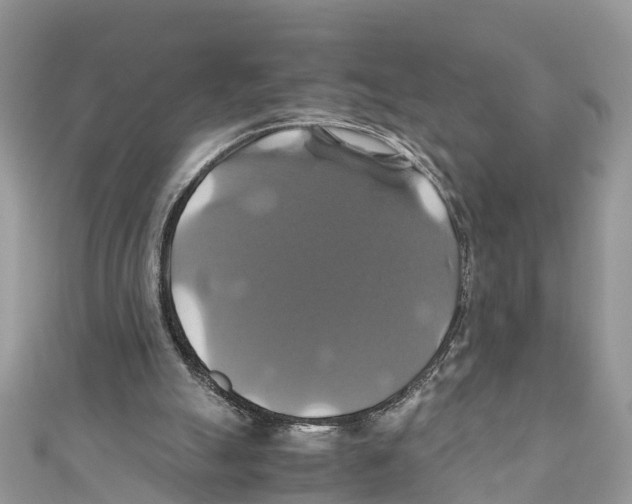 X0000110990055200907171800