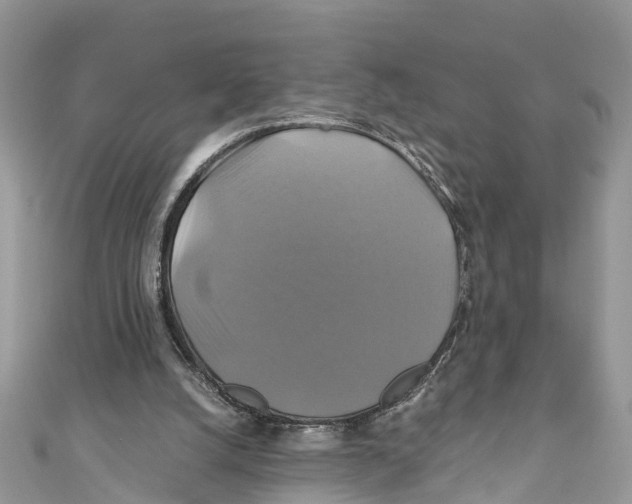 X0000110990056200907171800