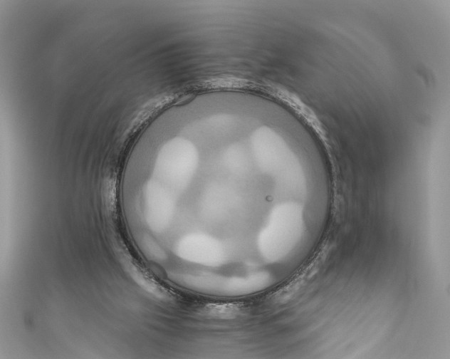 X0000110990057200907171800