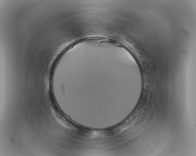 X0000110990060200907171800