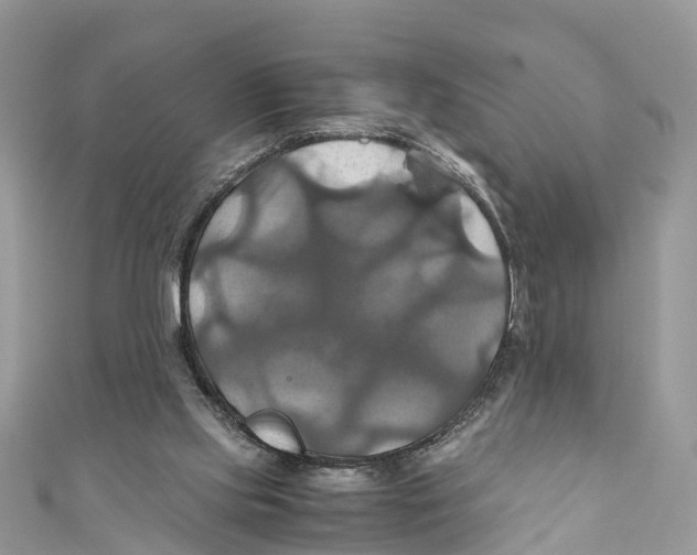 X0000110990061200907171800