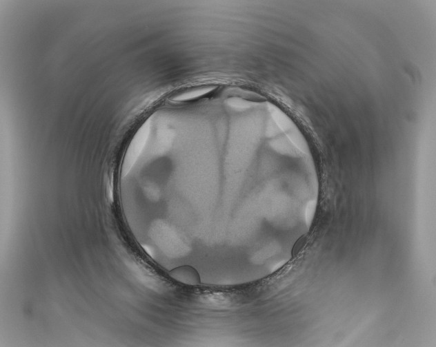 X0000110990062200907171800