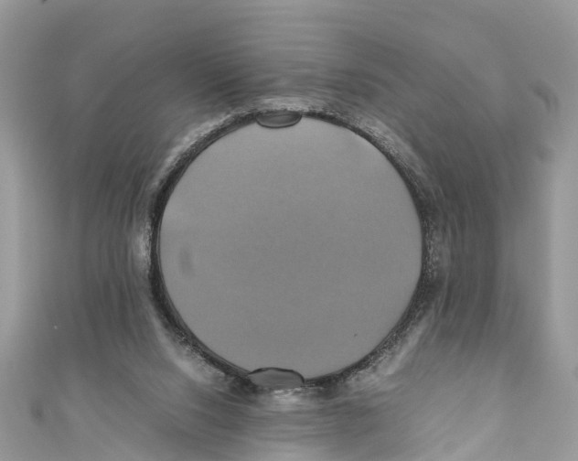 X0000110990064200907171800