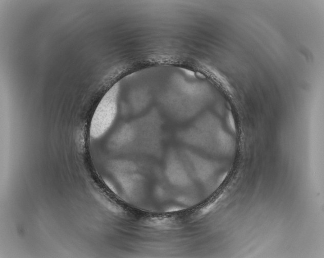 X0000110990065200907171800