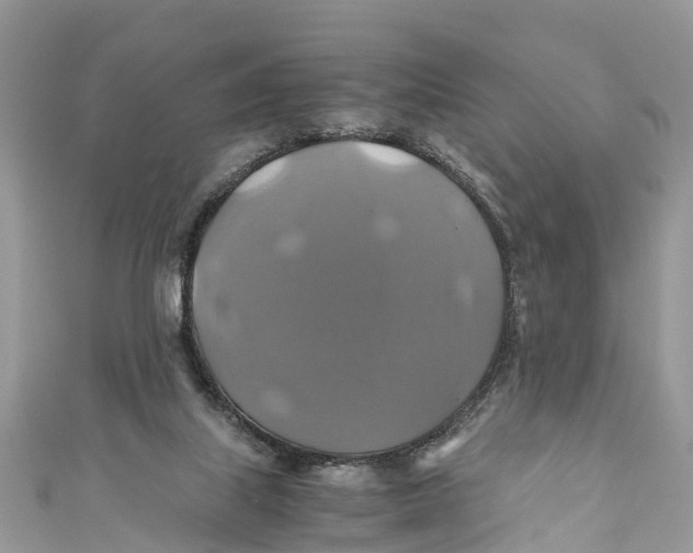 X0000110990067200907171800