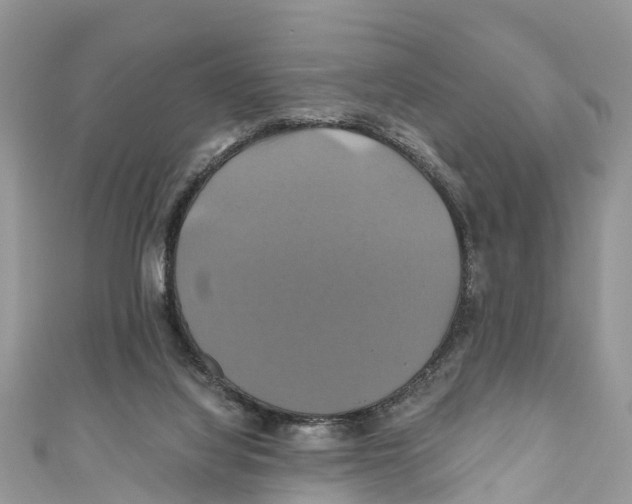 X0000110990068200907171800
