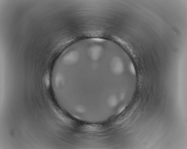 X0000110990069200907171800