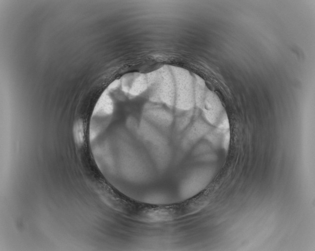 X0000110990075200907171800
