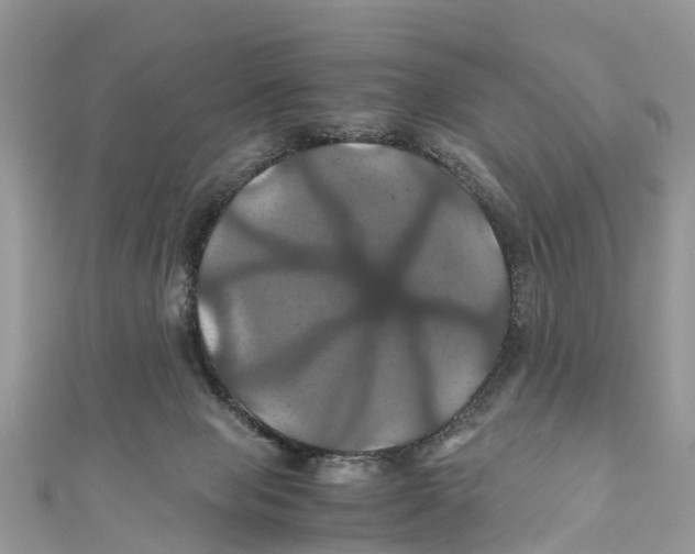 X0000110990077200907171800
