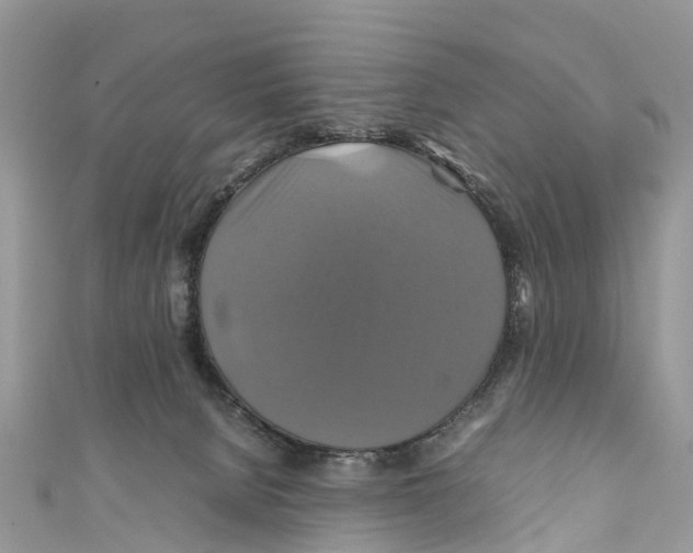 X0000110990080200907171800