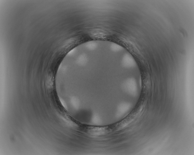 X0000110990081200907171800