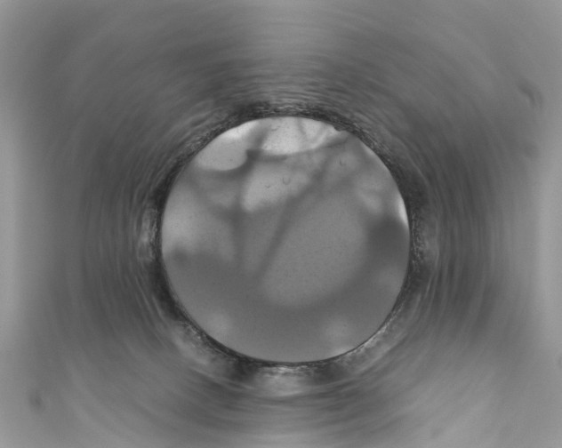 X0000110990082200907171800