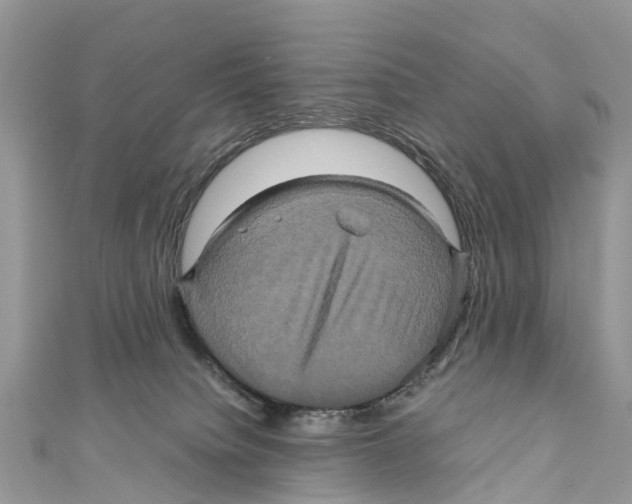 X0000110990084200907171800