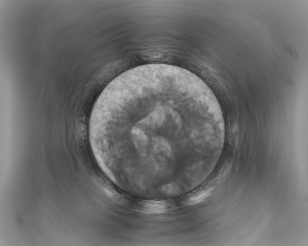 X0000110990085200907171800