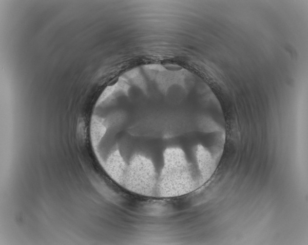 X0000110990086200907171801