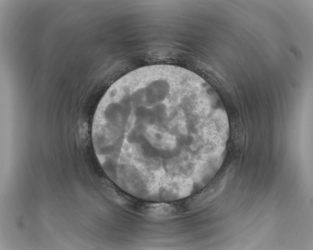 X0000110990087200907171801